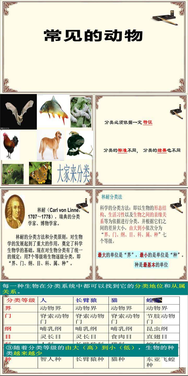 浙教版七年级上册科学优质课2.4常见的动物ppt课件下载