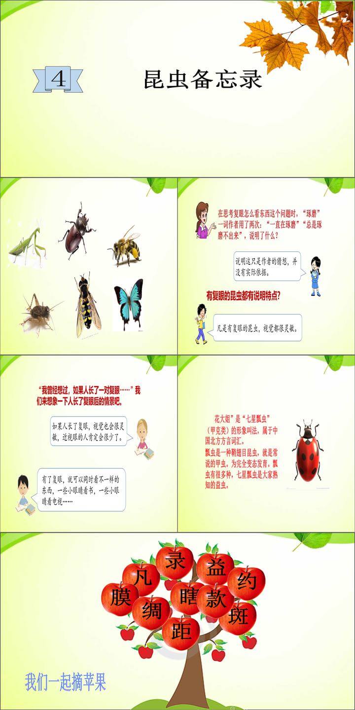 第4课:昆虫备忘录ppt课件(部编人教版三年级下册语文)