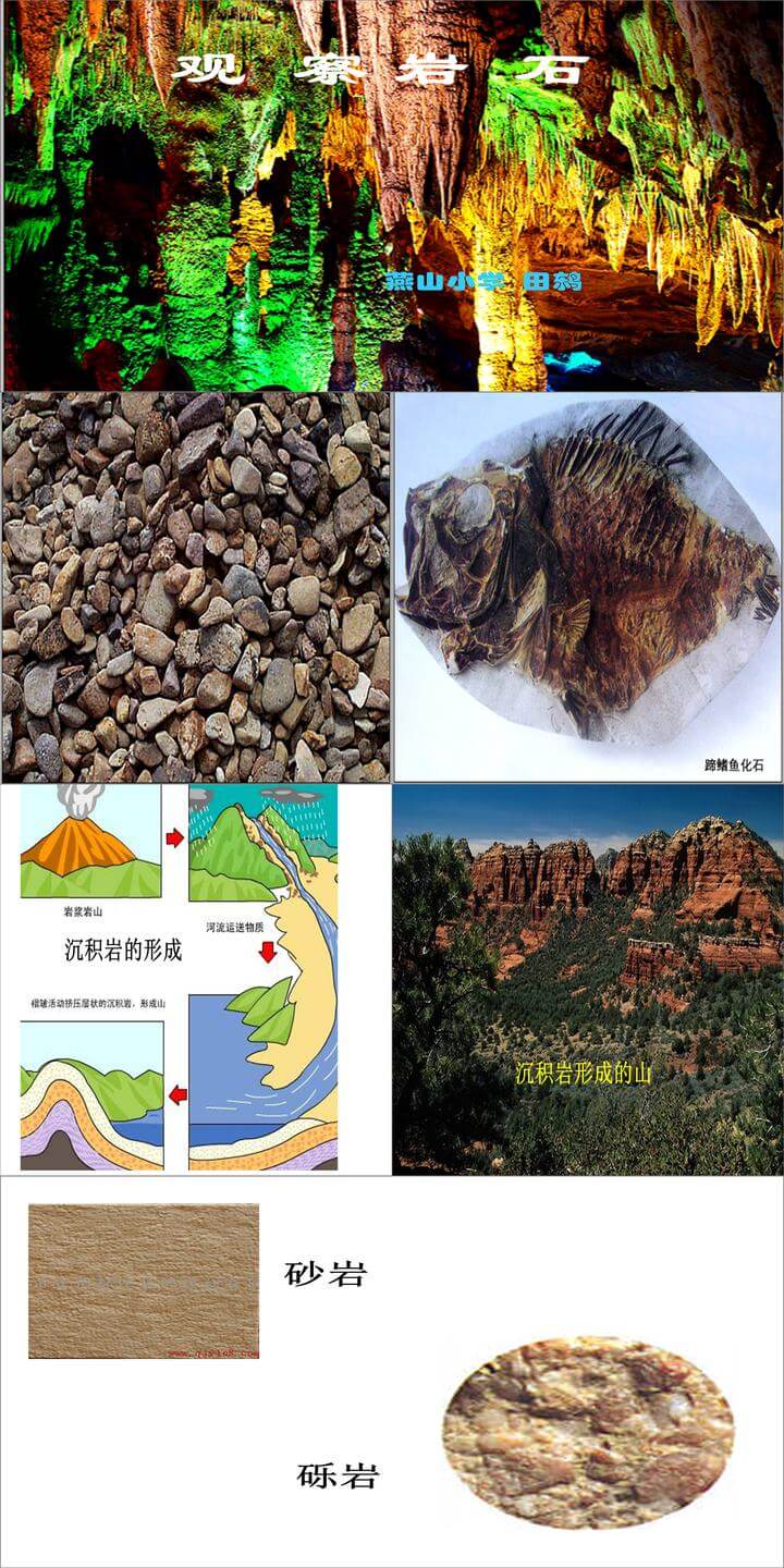 科学第四单元各种各样的岩石ppt课件（四年级下册）