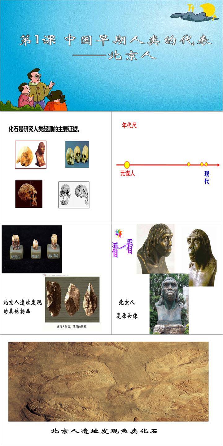 第1课:中国早期人类的代表-北京人ppt课件下载